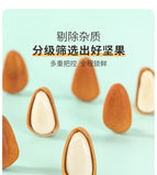 New Hand-Peeled Northeast Pine Nuts Roasted Snack Can Bulk for Dormitory