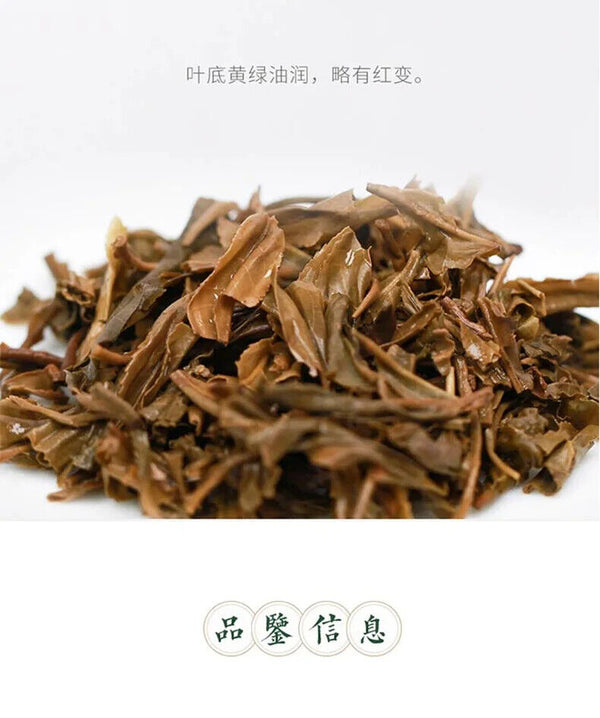 357g Famous Puer Tea Brand Dayi Unfermented Puer Tea Cake Yunnan Qi Zi Cha Bing