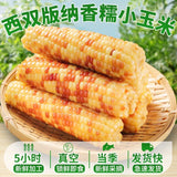 Xishuangbanna Sweet Sticky Corn – Wholesale Vacuum Pack