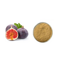 Pure Fig Fruit Powder Extract - Concentrated Milk Juice Fig Polysaccharides