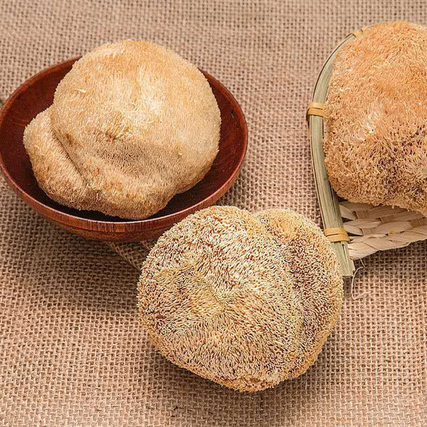 500g Free Shipping Non-smoked Lion's Mane Mushroom New Hericium Erinaceus