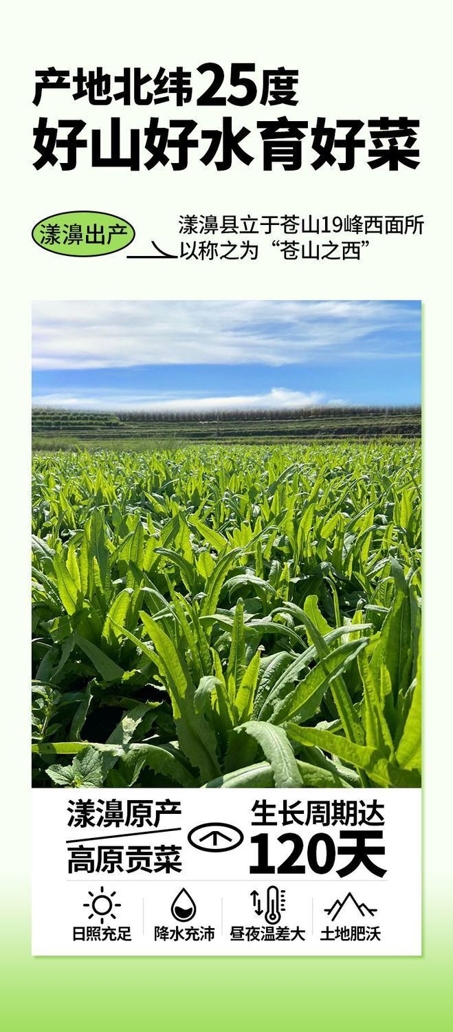 Yunnan Dried Taisai Greens – Dehydrated Hot Pot Veggies