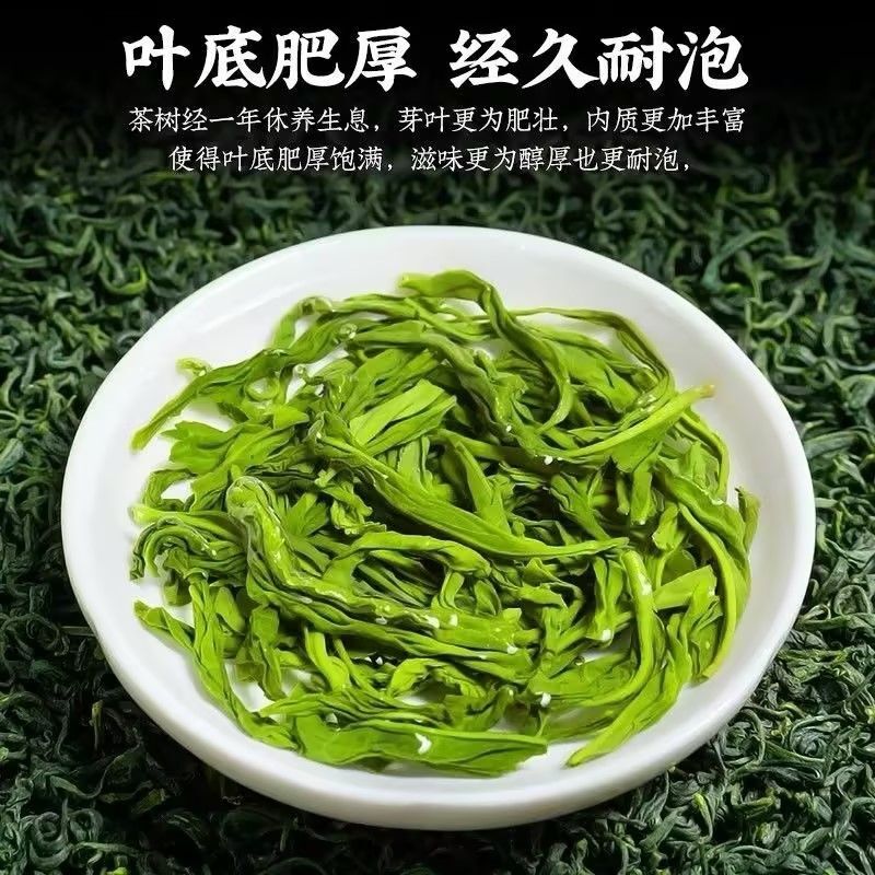 Premium Handcrafted Maojian Green Tea Authentic High Mountain Spring Tea 50g Can