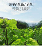 500g Mulberry Leaf Tea Fresh Frosted Dried Mulberry Leaf Authentic Mulberry Tea