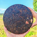 Premium Grade Yunnan Menghai Laobanzhang Pu erh tea, aged tree, ripe cake tea