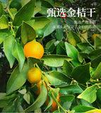 90g*2 High-quality Kumquat Slices and Kumquat Dried Fruit Tea Health Drinks