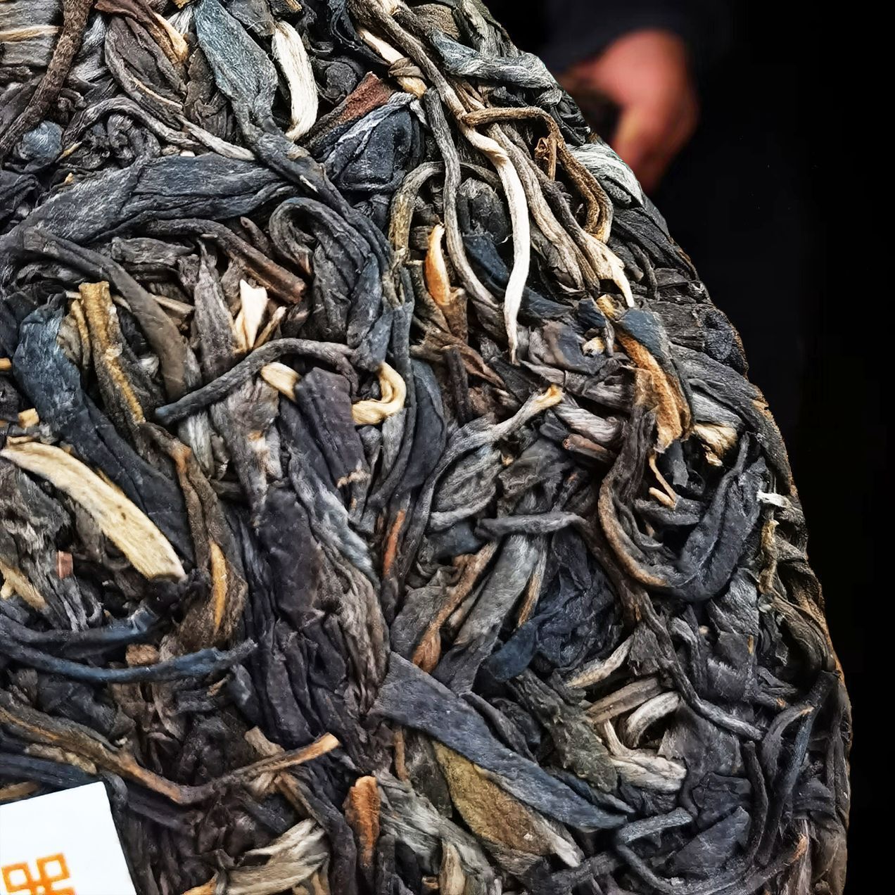 Kunming Pure Dry Storage Lao Banzhang Ancient Tea Pu'er Tea Raw Tea 357/12.59oz