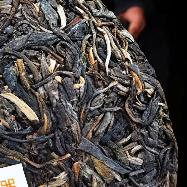 Kunming Pure Dry Storage Lao Banzhang Ancient Tea Pu'er Tea Raw Tea 357/12.59oz