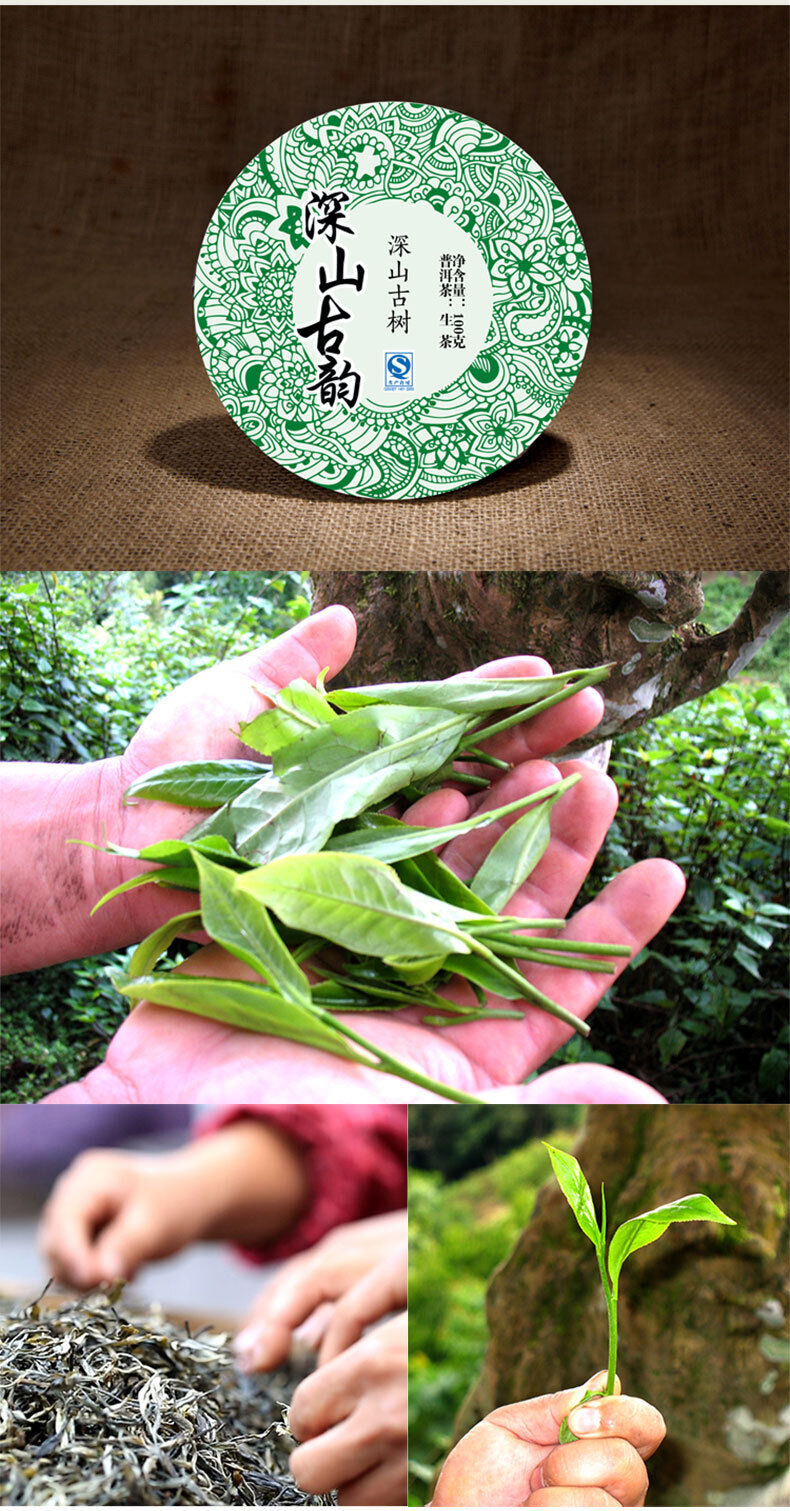 Deep Mountain Ancient Rhyme 100g Pu'er Raw Tea Qizibing Jishunhao Raw Tea