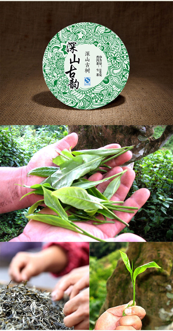 Deep Mountain Ancient Rhyme 100g Pu'er Raw Tea Qizibing Jishunhao Raw Tea