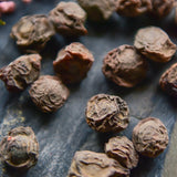 Organic Wild Sour Plum Snack Premium Dried Dark Plum Healthy Food