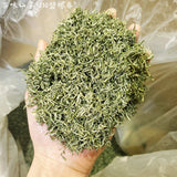 New Tea Mingqian Biluochun Tea Roasted Green Tea 500g/1.1lb