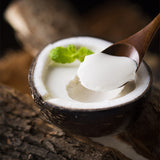 No-Cook Coconut Pudding Powder for Milk Tea Shops, Sweet Dessert Base