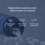Akkermansia Muciniphila Probiotic - 30 Caps - Gut Health Support, New Formula