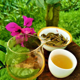 2020 Puerh Tea ''Gua Feng Zhai'' Ancient Tree Handmade Sheng Puerh Tea Cake 357g