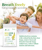 100% Natural Mullein Leaf Herbal Tea For Lung Cleansing Relief Cough Metabolism