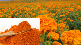 Eye Protection Marigold Flower Extract Lutein Marigold Extract Powder 250g