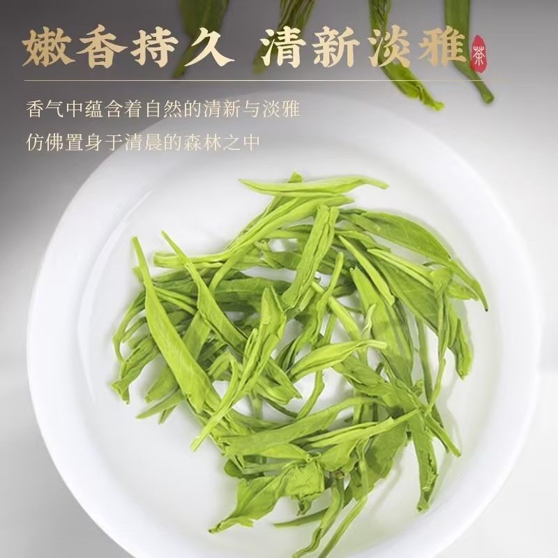 Premium High Mountain Cloud Mist Green Tea 50g Handcrafted Spring Tea