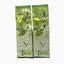 Anxi Soft Stem Milk Tea Ingredient Taiwan High Mountain Jin Xuan Oolong Tea