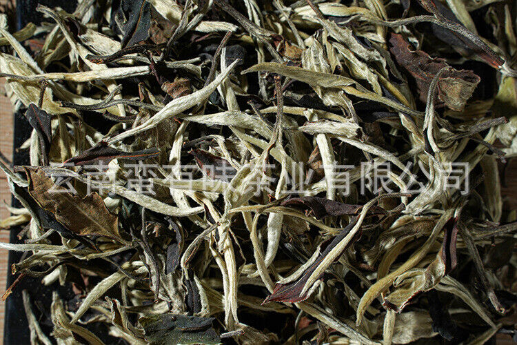 500g Yunnan Jinggu Yangta Ancient Tree White Tea One Bud One Leaf Scattered Tea