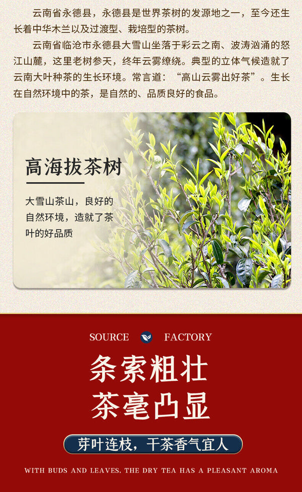 Pu'er Raw Tea Snow Mountain Tea Spring Tea Tea Cake Large Leaf Tea Raw Tea
