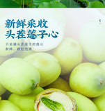 Lotus Seed Heart Selected Lotus Plumule Gesundheitstee Kräutertee 100g