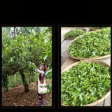 Xin Yi Hao Bulang Mountain 200 Years Old Tree Tuo Cha Ripe Pu-erh Tea 500g