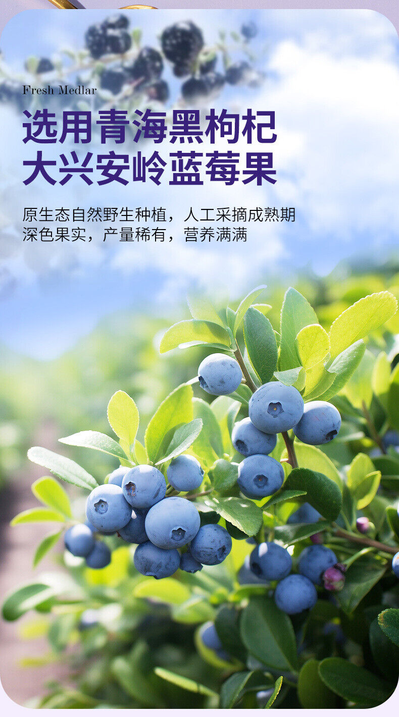 Blueberry Black Goji Berry Juice Puree Nutrient Rich Healthy Drink