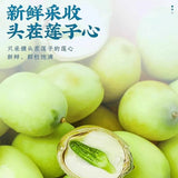 Lotus Seed Heart Tea - New Harvest, Lotus Plumule Herbal Tea for Cooling 150g