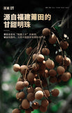 Juhe Tai Seedless Longan - 120g Dried Longan Meat, Premium Health Tea
