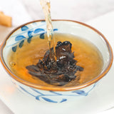 Premium Scrophularia Root Direct Source Bulk Supply High Quality Affordable