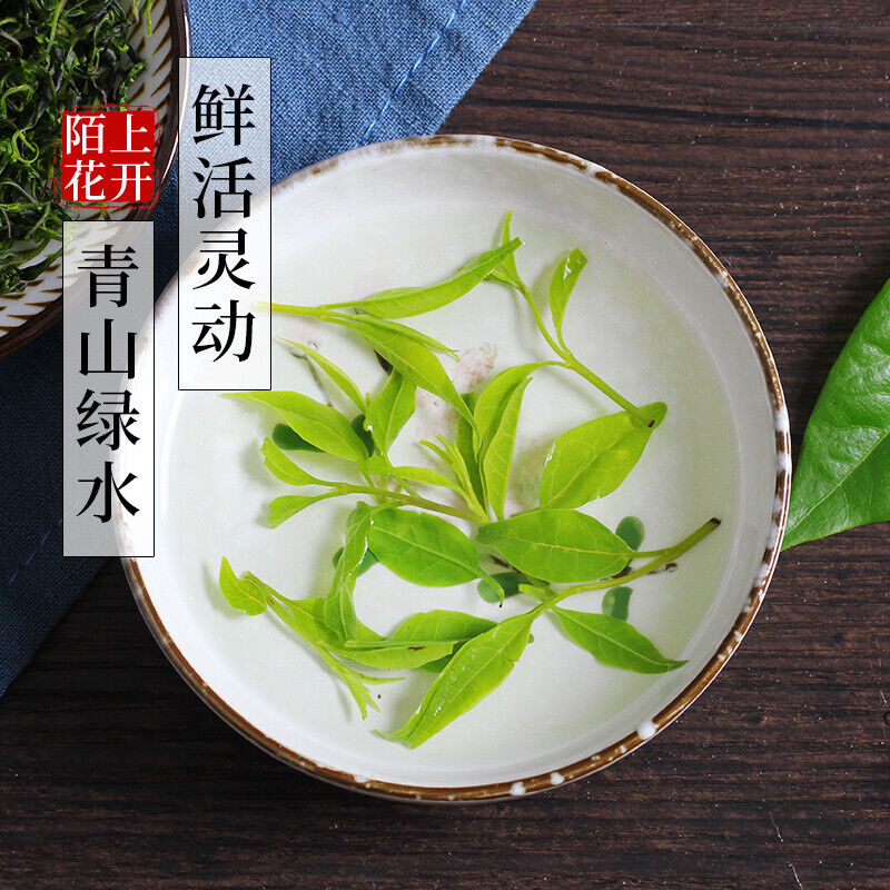 Blatt der chinesischen Stechpalme Sichuan Special Grade Tee 2pcs Kräutertee Main image