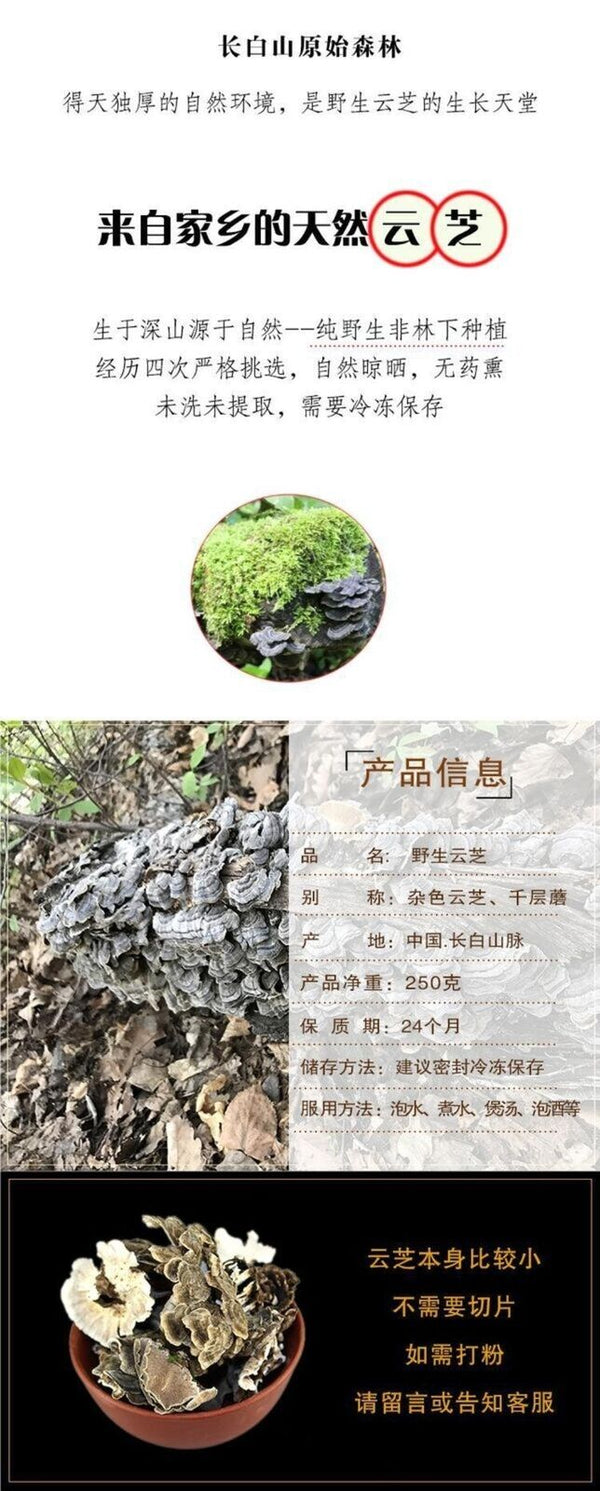 Wild Yunzhi Mushroom 250g Premium Dried Trametes Herbal
