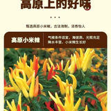 Pickled Chili Yunnan Guizhou Hot Pepper Wild Pickled Chicken Feet Super Spicy