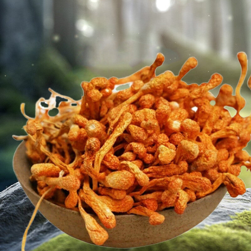 250g Plateau Cordyceps Flower Dry Goods Selected Natural Cordyceps Flower Secondary image