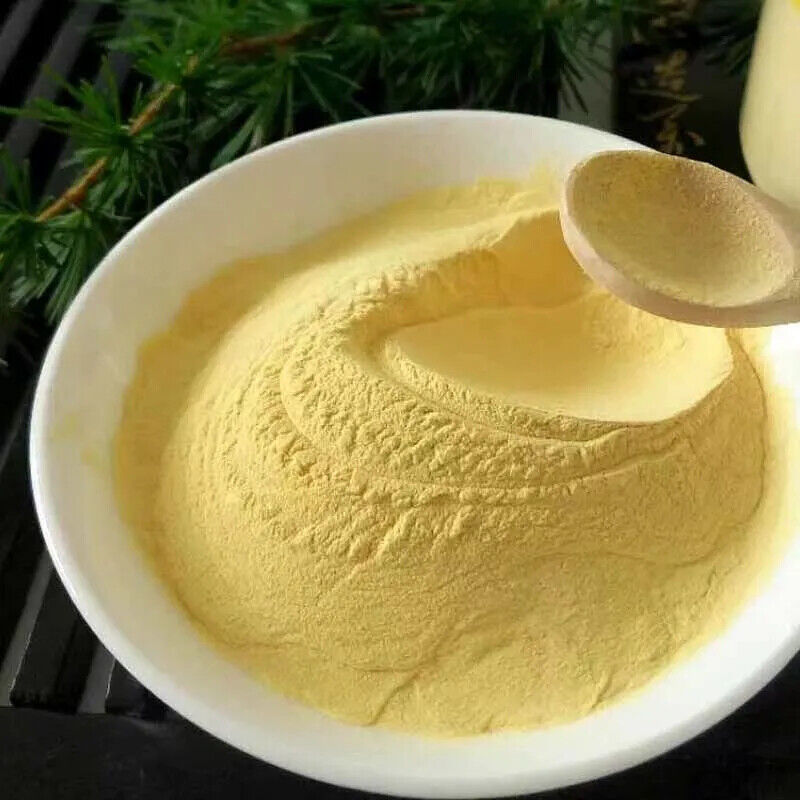 Bio-Mangopulver - Nicht gentechnisch verändert, ungeschwefelt, ideal zum Backen Main image