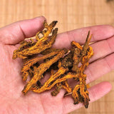 Organic Dried Coptis chinensis, Chinese Goldthread, Goldthread, Huang Lian