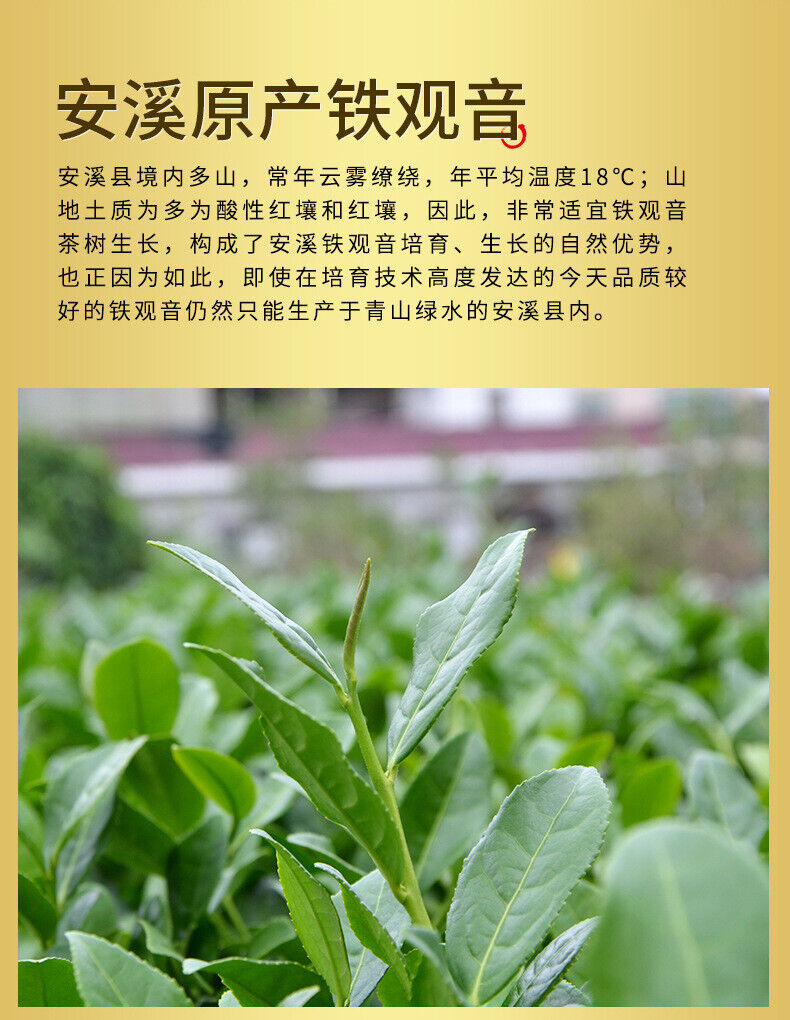 Fujian Alpine Orchid Fragrance Tieguanyin 8 Bubbles Gift Tea Independent Sachets