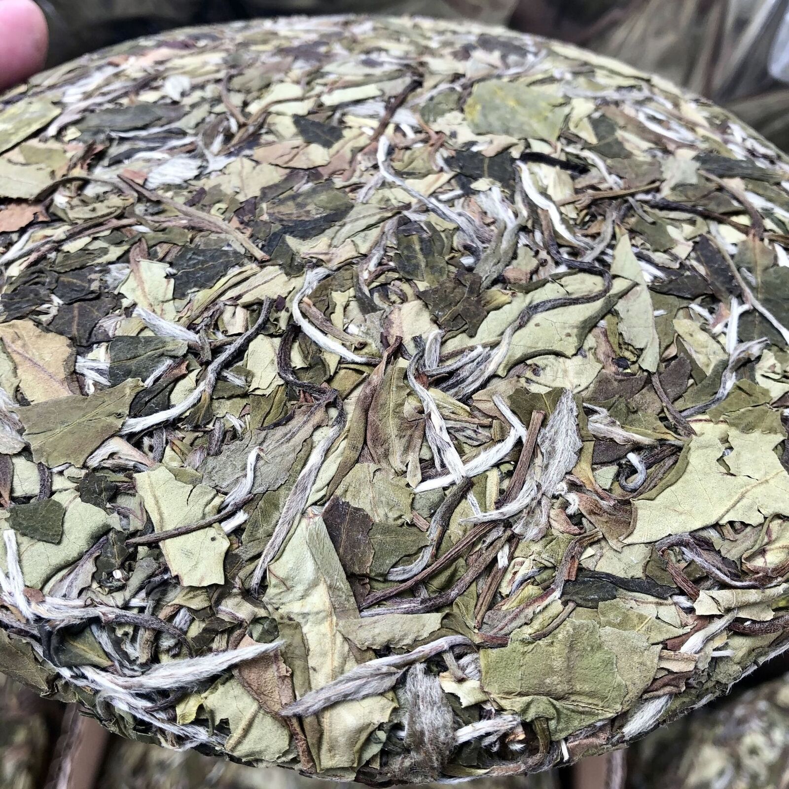 Mountain Sun Tea Cake White Peony Tea Spring Tea Cake 350g White Tea Barren
