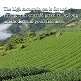 Premium Loose Leaf organic Oolong Tea Taiwan Organically Grown Jin Xuan 250g