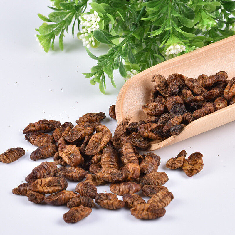 Dried Cicada Chrysalis Dried Silkworm Chrysalis Chinese Herbs 500g/1.1lb