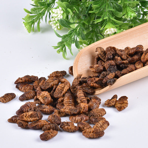 Dried Cicada Chrysalis Dried Silkworm Chrysalis Chinese Herbs 500g/1.1lb