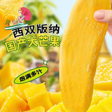 Yunnan Dried Mango – Thick Sliced, Soft & Sweet Fruit Snack for Dorm & Leisure