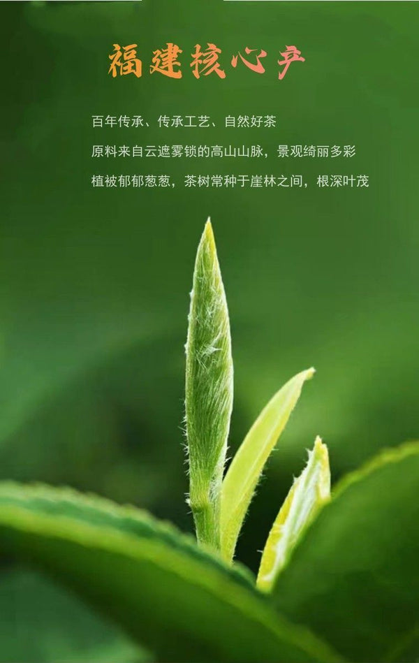 Shou Mei Sun-dried Desert Mountain Date Fragrance Aged White Tea 350g