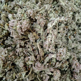 Premium Honey Flower Dried Chinese Medicinal Herb New Stock