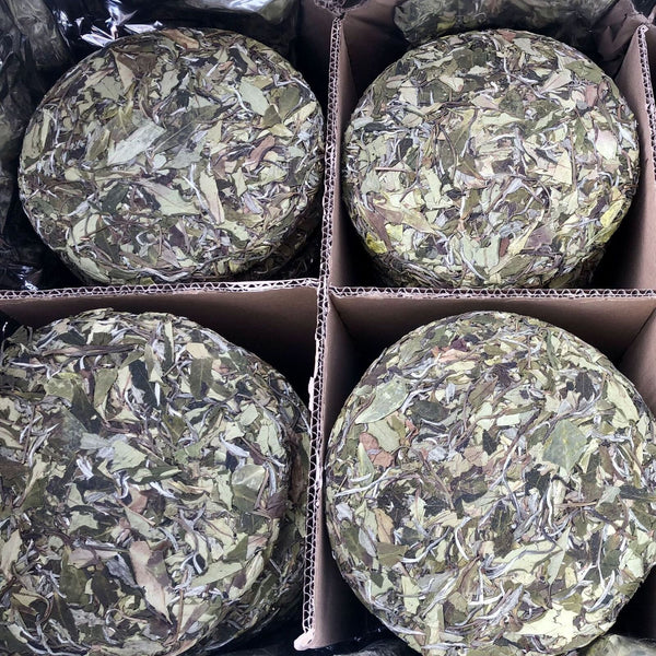 Mountain Sun Tea Cake White Peony Tea Spring Tea Cake 350g White Tea Barren