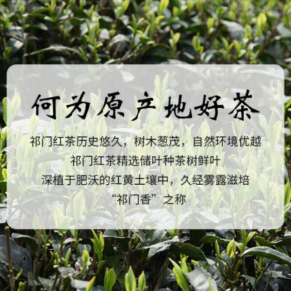 100g Top Chinese Keemun Black Tea Anhui Premium Qimen Qi Men Gongfu Hong Cha