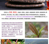 Puerh Ripe Tea Menghai Purple Bud Puerh Tea Aged Purple Bud Seven Cakes 357g