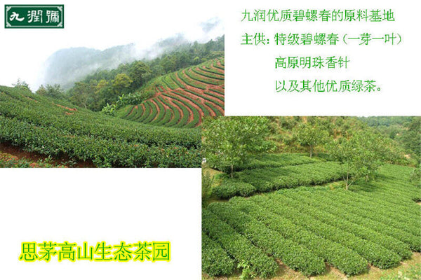 100g High Quality Green Tea Chinese Top Grade Biluochun Tea Health Tea Flowering