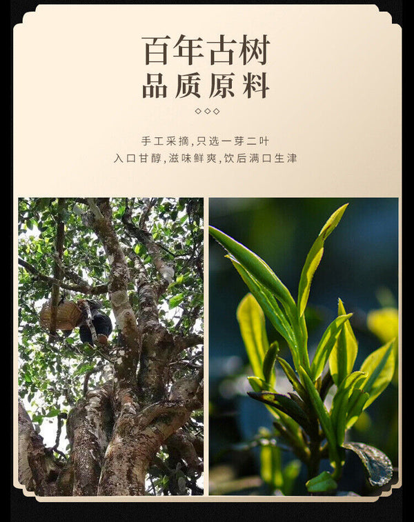 Yunnan Qizi Cake Tea Mature Pu'er Tea Mature Pu'er Tea Pu'er Tea 357g